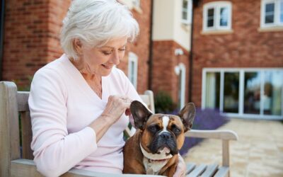 4 Questions to Ask Before Choosing a 55 Plus Community