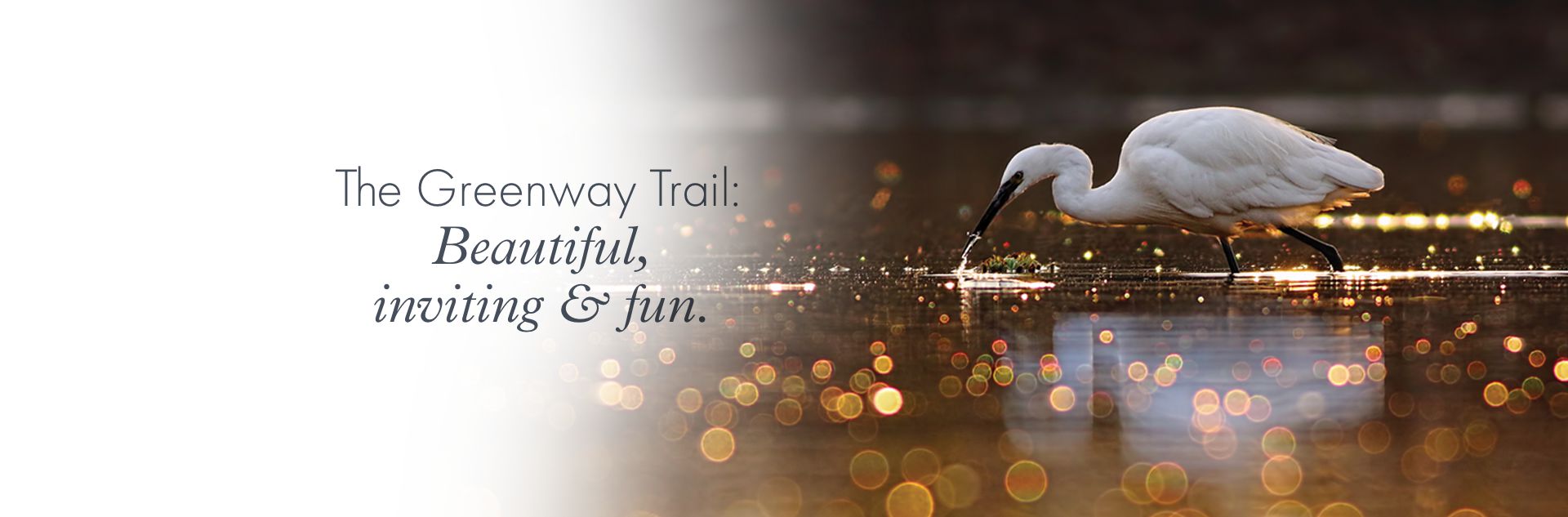 The Greenway Trail: Beautiful,  inviting & fun.