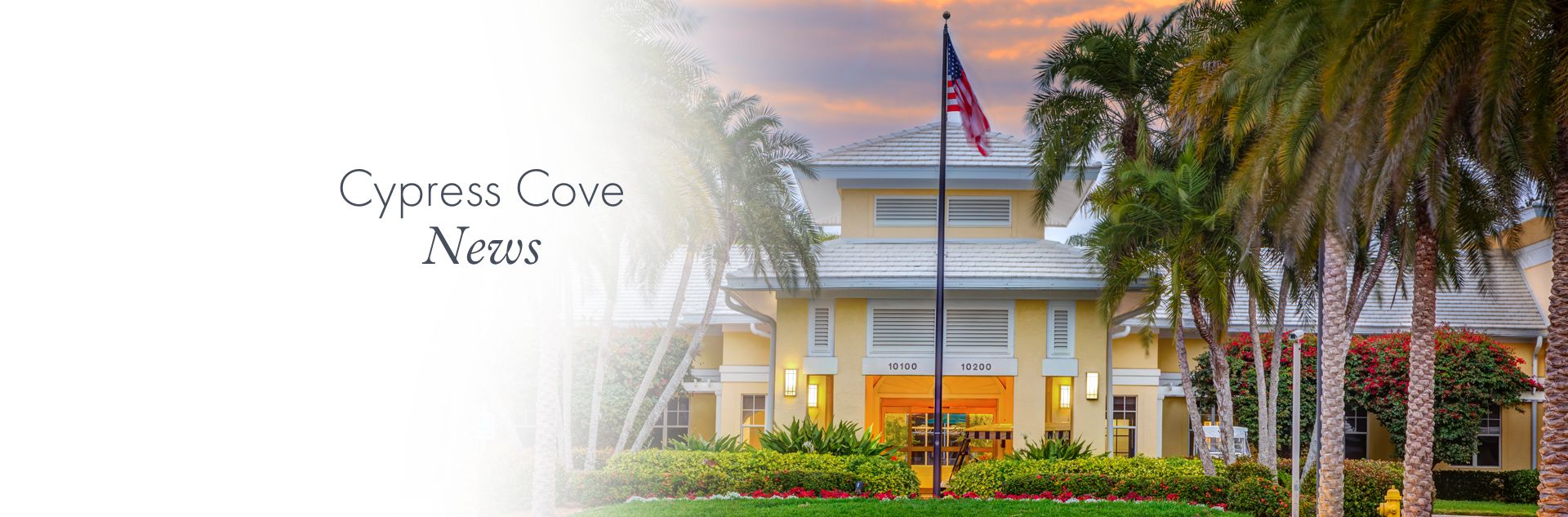 Cypress Cove News