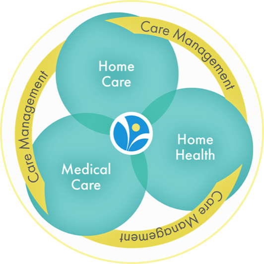 Home Care, Medical Care, Home Health
