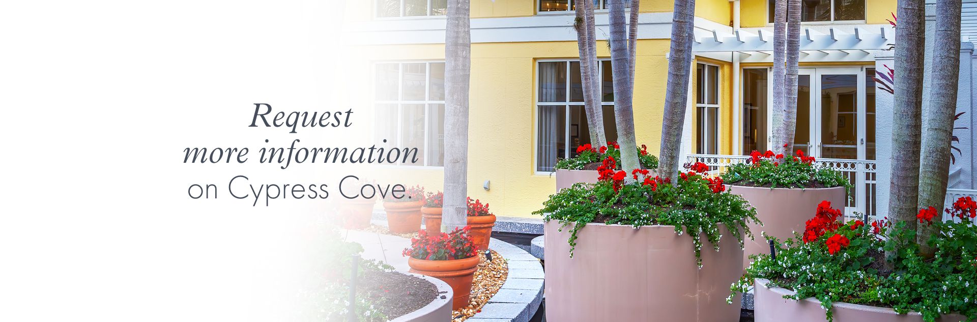 Request more information on Cypress Cove.
