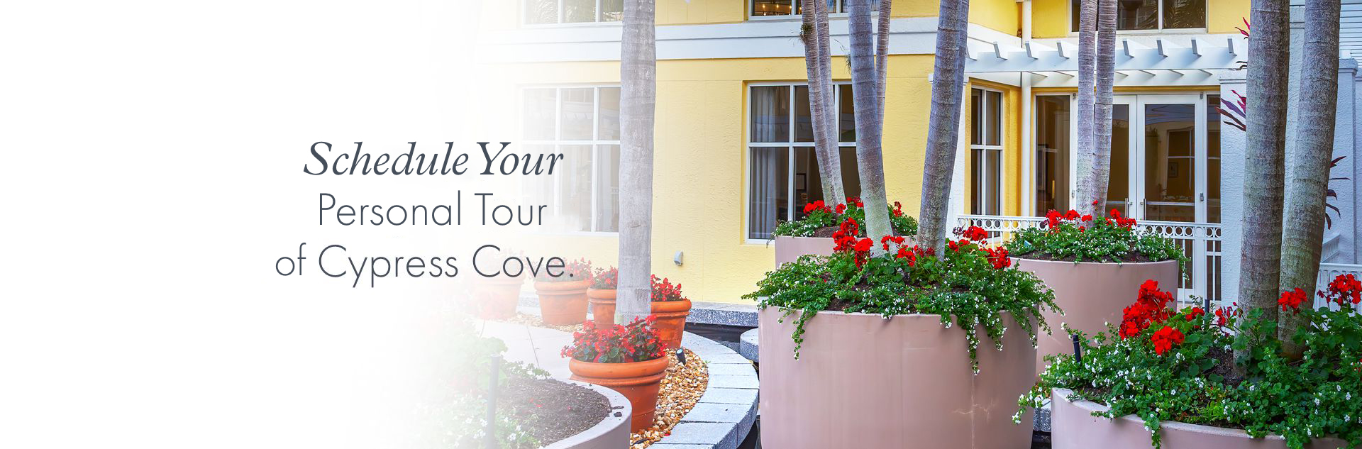 Request more information on Cypress Cove.