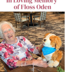Generous Joy for All Pets Donated